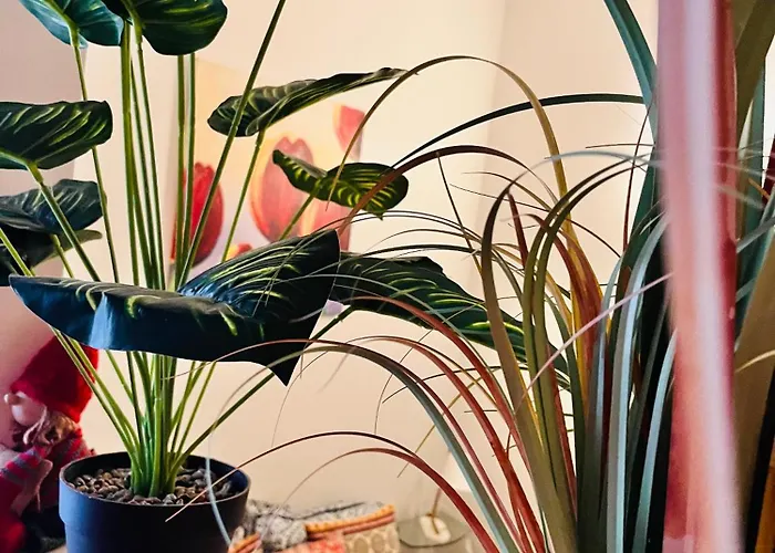 Tallinnhousing Old Town Homes - 1 Bdr In Vene Daire Tallinn