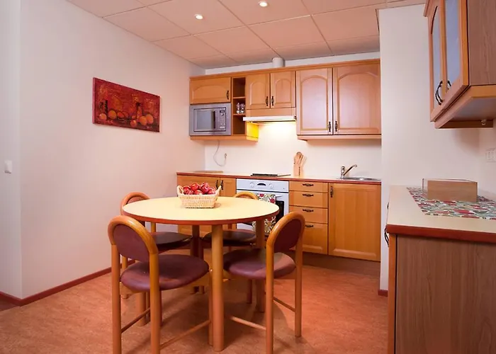 アパート Tallinnhousing Old Town Homes - 1 Bdr In Vene *